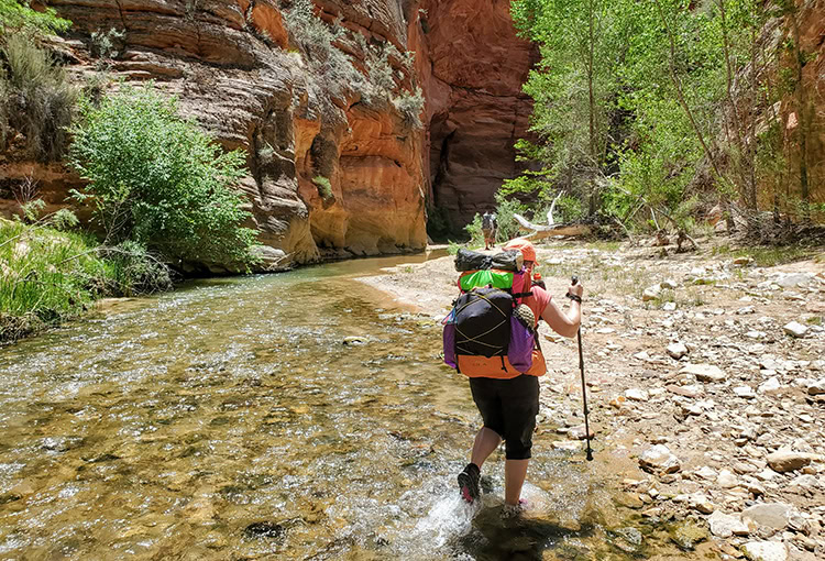 Backpacker reaches for his bear spray from the ULA Deploy Bear Canister Holder on his shoulder strap.