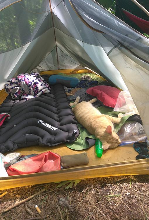 Backpacker puts a Bear Vault Bear Canister into a ULA CDT Backpack